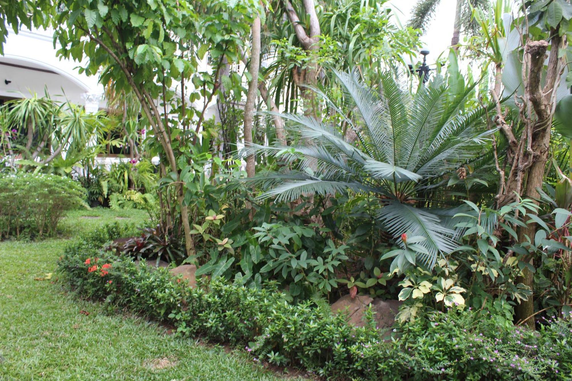 White Elephant Resort Surin Exterior foto