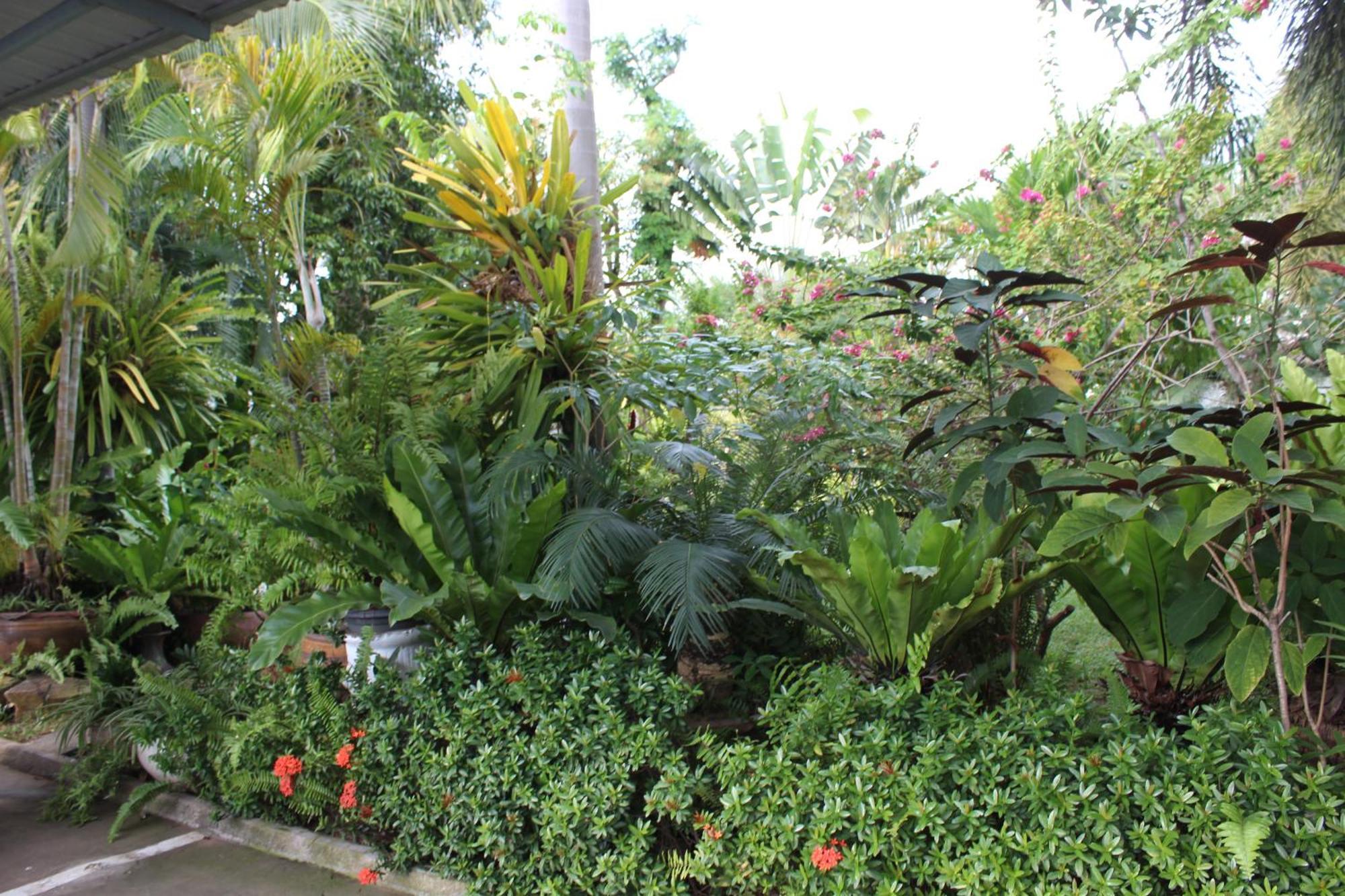 White Elephant Resort Surin Exterior foto