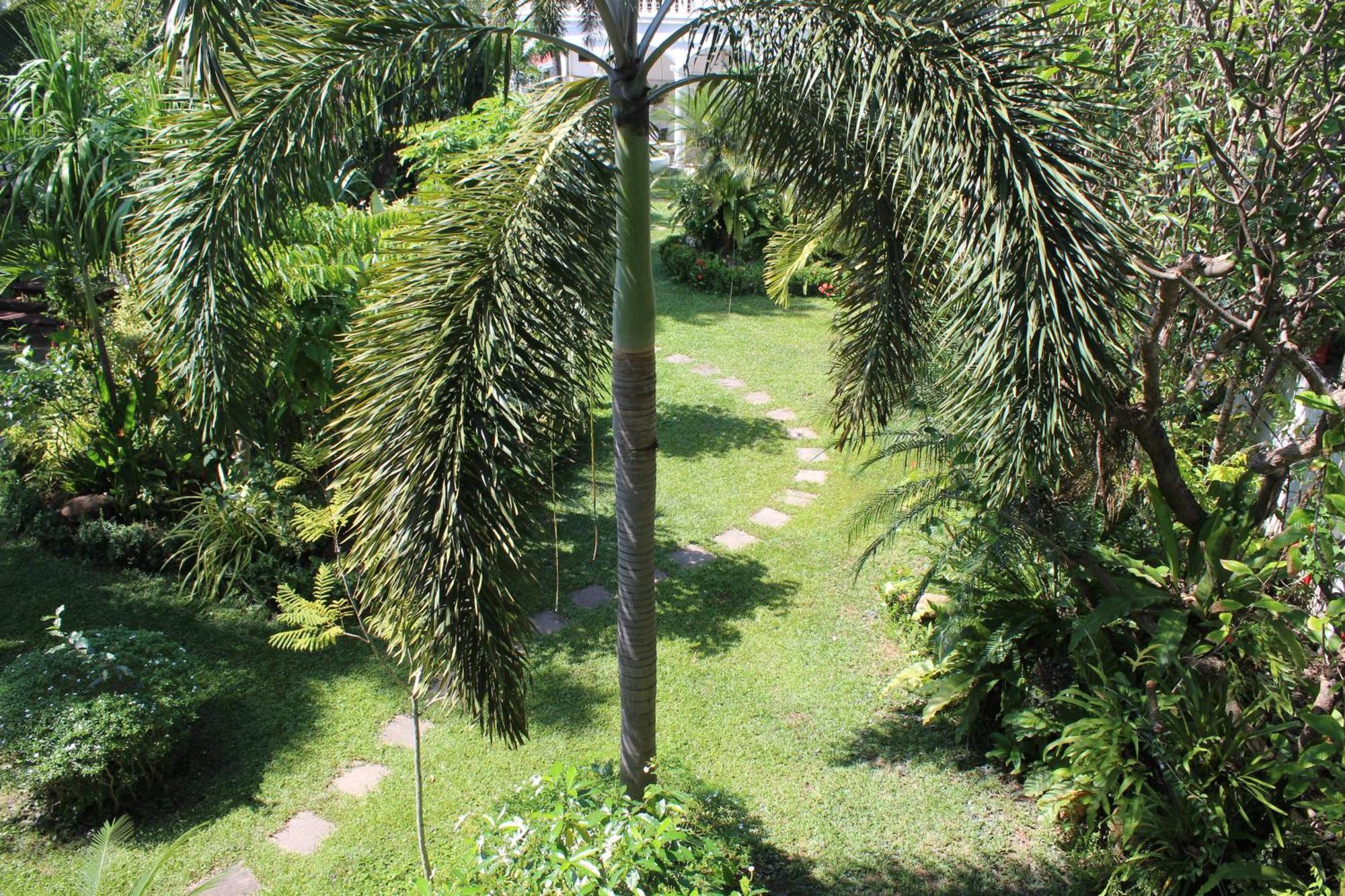 White Elephant Resort Surin Exterior foto