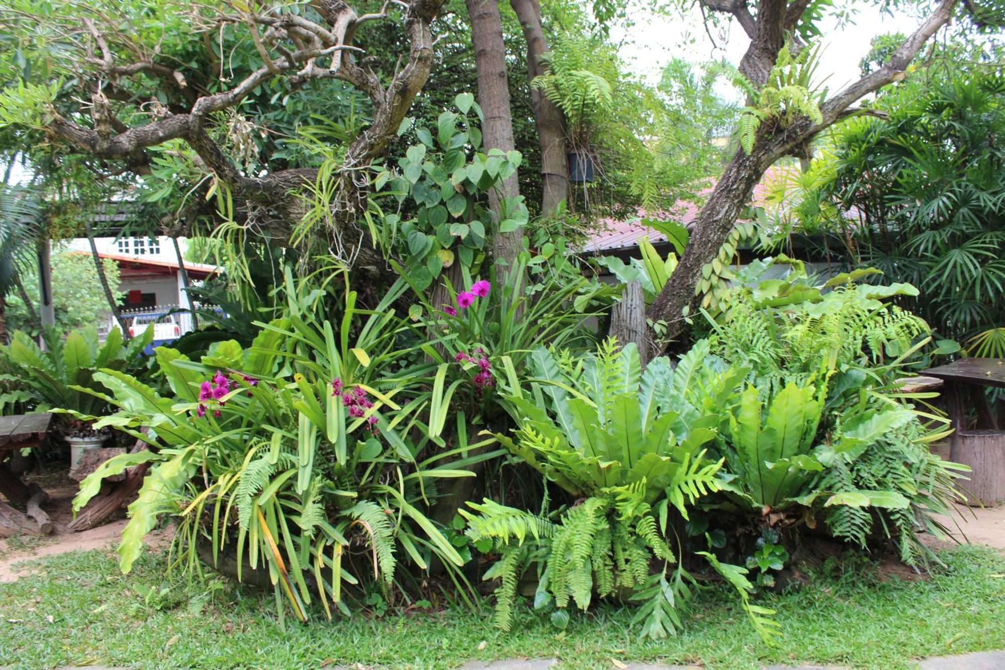 White Elephant Resort Surin Exterior foto